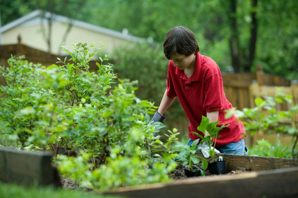 niño con plantas 