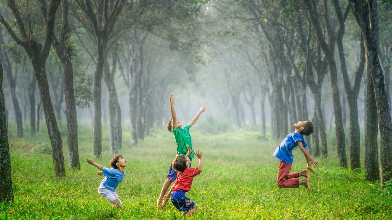 Pedagogía infantil: ¿Qué es y por qué es importante?